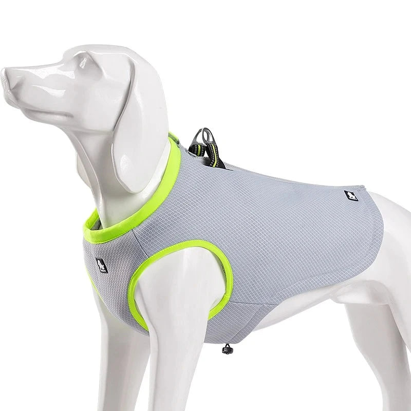 All-Season Pet Cooling Vest – Warm in Winter, Cool in Summer