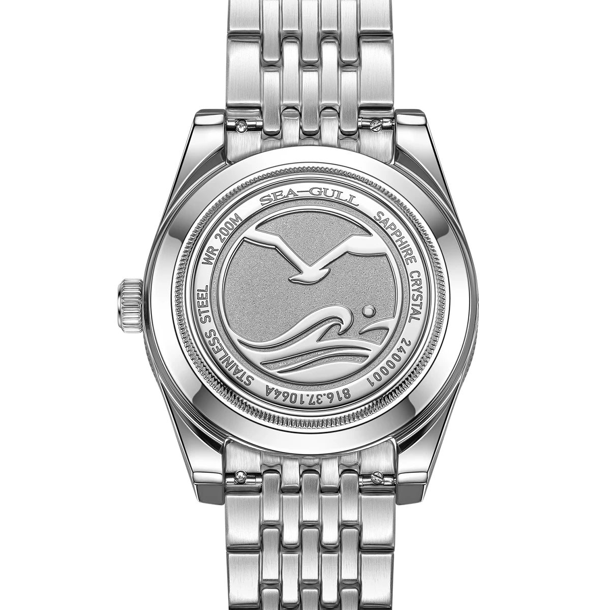 Seagull 2024 Expedición Antártica Reloj de Buceo Automático 200M