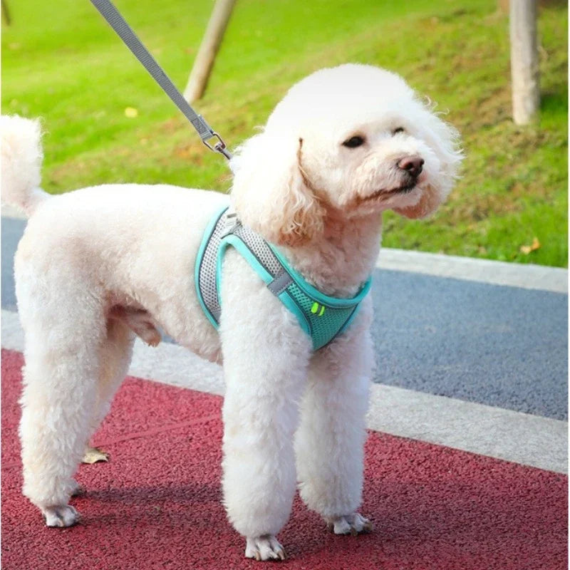 Chaleco reflectante para perros y gatos con cierre rápido